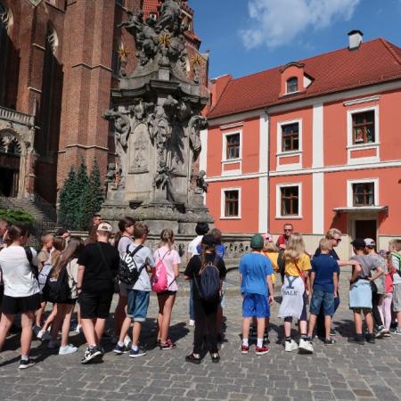 Wyświetl org. rozmiar
