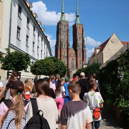 Wyświetl org. rozmiar