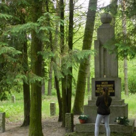 Wyświetl org. rozmiar