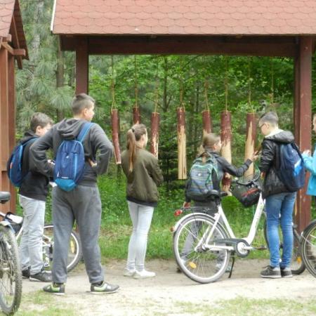 Wyświetl org. rozmiar