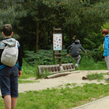 Wyświetl org. rozmiar