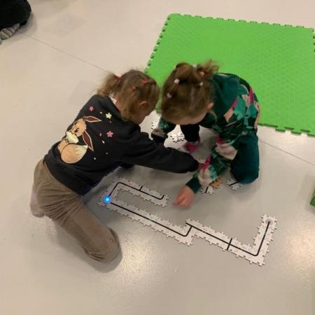 Wyświetl org. rozmiar