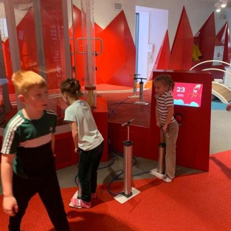 Wyświetl org. rozmiar