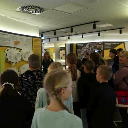 Wyświetl org. rozmiar