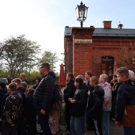 Wyświetl org. rozmiar