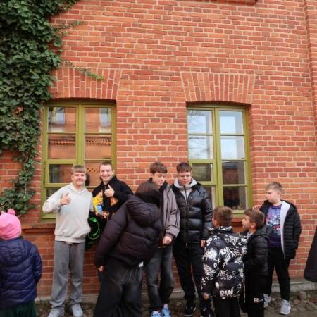 Wyświetl org. rozmiar