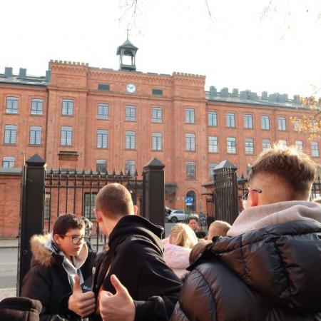 Wyświetl org. rozmiar