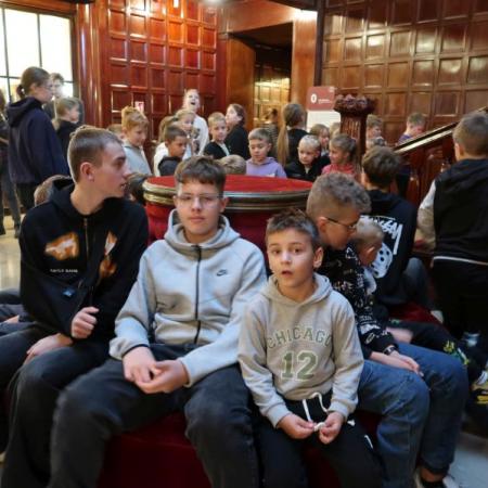 Wyświetl org. rozmiar