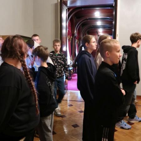 Wyświetl org. rozmiar