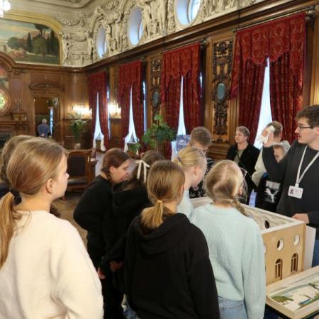 Wyświetl org. rozmiar