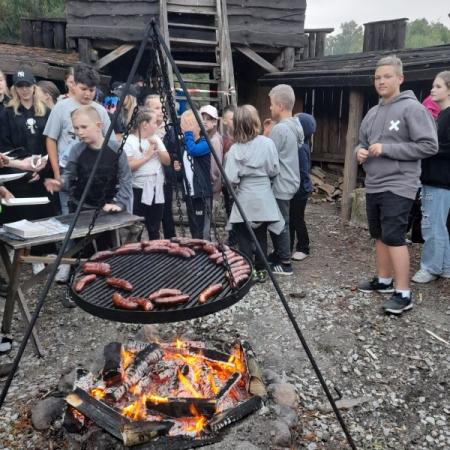 Wyświetl org. rozmiar