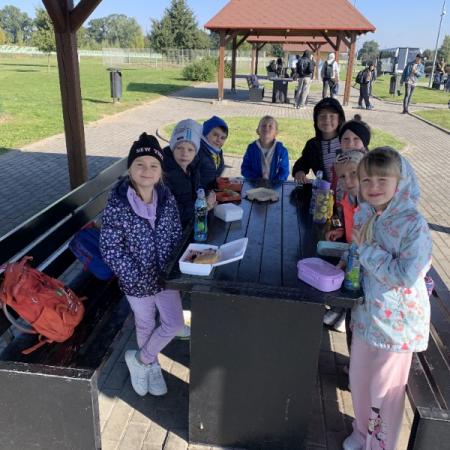 Wyświetl org. rozmiar