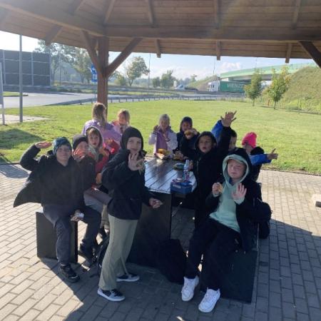 Wyświetl org. rozmiar