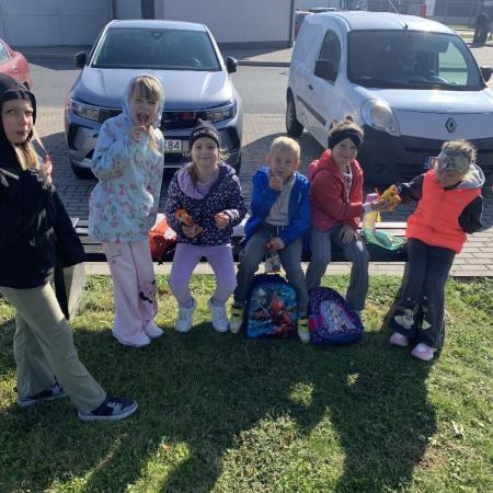 Wyświetl org. rozmiar