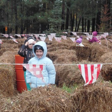 Wyświetl org. rozmiar