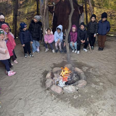 Wyświetl org. rozmiar