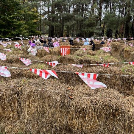 Wyświetl org. rozmiar