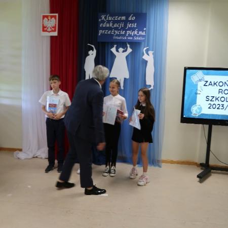 Wyświetl org. rozmiar