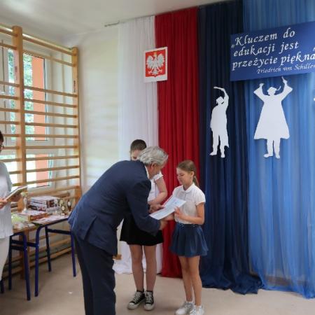 Wyświetl org. rozmiar