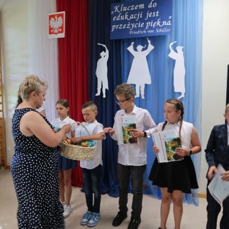Wyświetl org. rozmiar