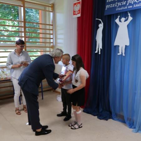 Wyświetl org. rozmiar