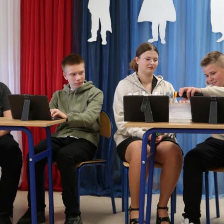 Wyświetl org. rozmiar