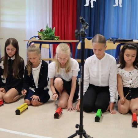 Wyświetl org. rozmiar