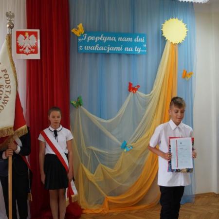 Wyświetl org. rozmiar