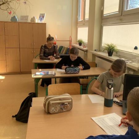 Wyświetl org. rozmiar