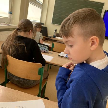 Wyświetl org. rozmiar