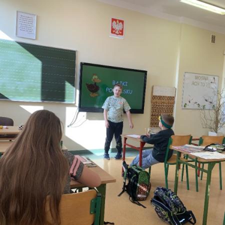 Wyświetl org. rozmiar