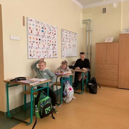 Wyświetl org. rozmiar