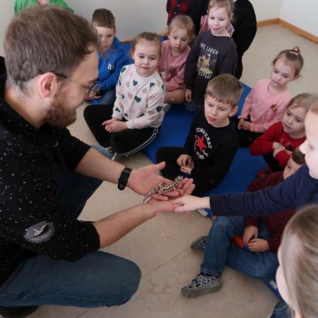 Wyświetl org. rozmiar